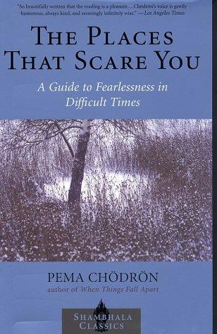 Cover of Places That Scare You